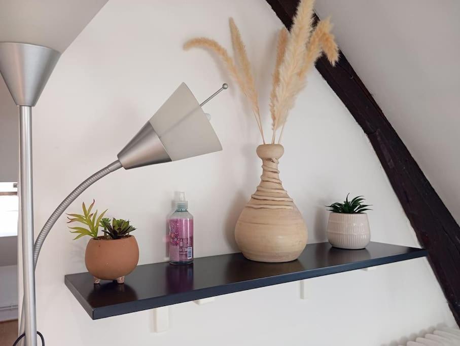 Lalique 540 Hypercentre Apartment Reims Ngoại thất bức ảnh