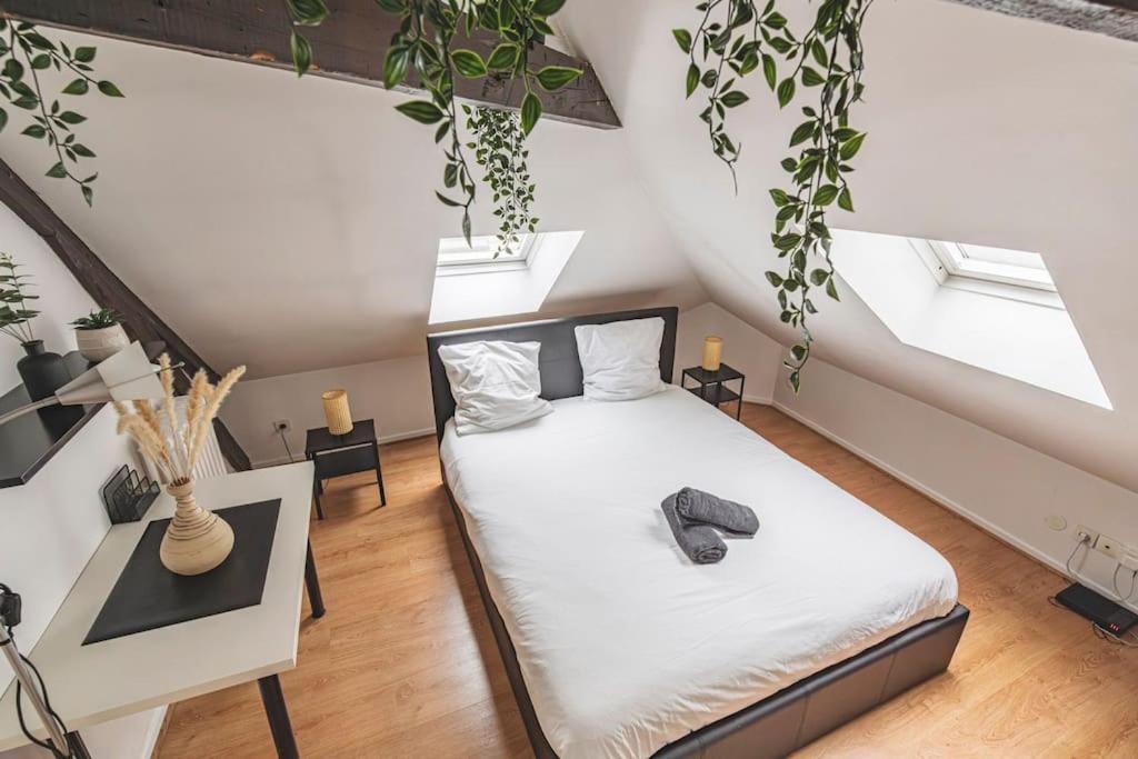 Lalique 540 Hypercentre Apartment Reims Ngoại thất bức ảnh
